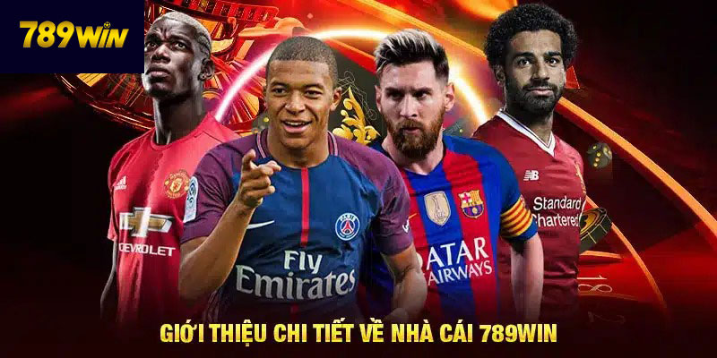 Giới Thiệu Về 789win Thông tin giới thiệu 789WIN